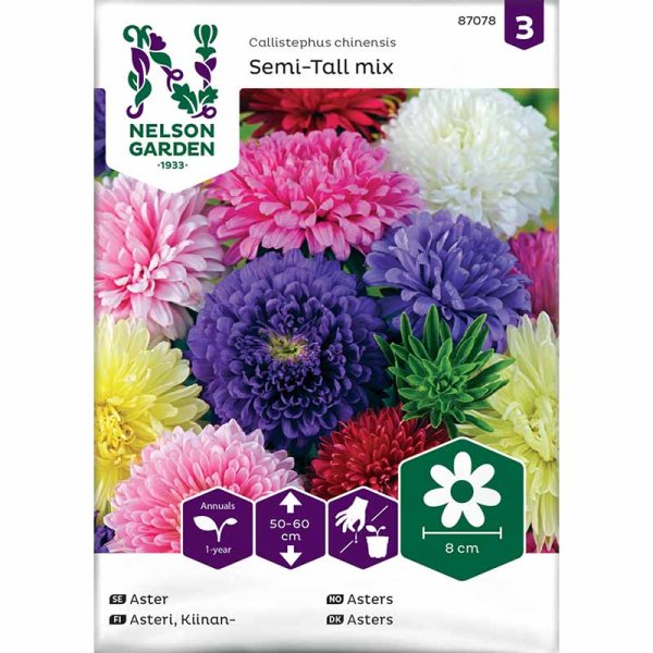 Aster 'Semi-Tall mix'