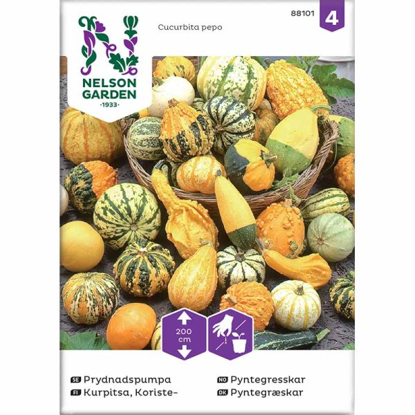 Prydnadspumpa, blandade sorter