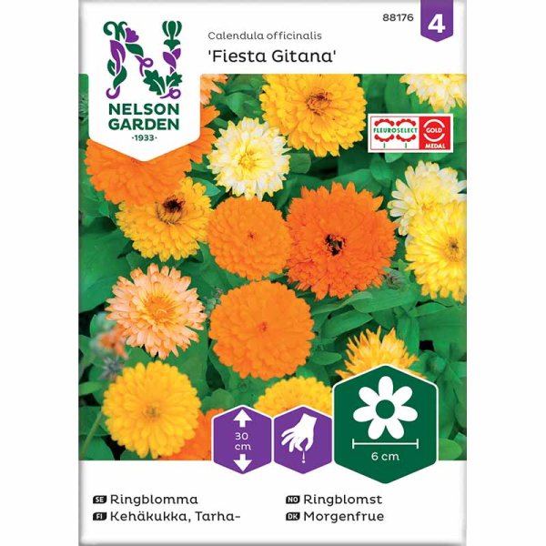 Ringblomma 'Fiesta Gitana'