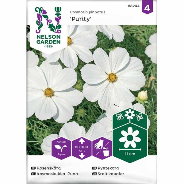 Rosenskära 'Purity'