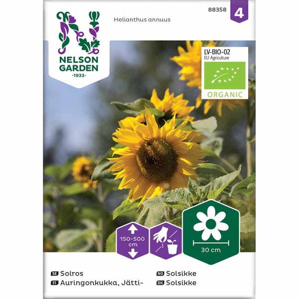 Jättesolros Organic