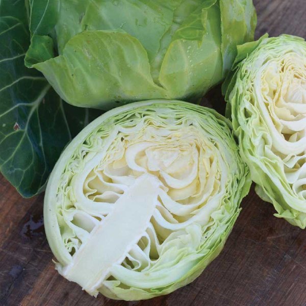 Vitkål 'Beatrix F1'