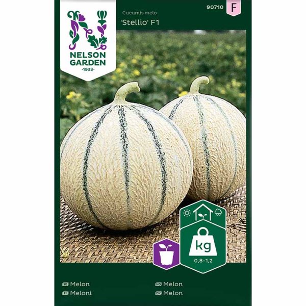 Melon 'Stellio' F1