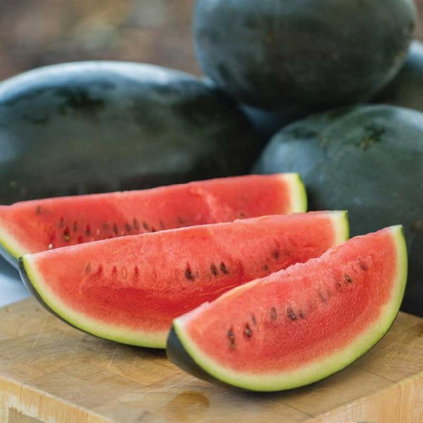 Vattenmelon 'Little Darling' F1