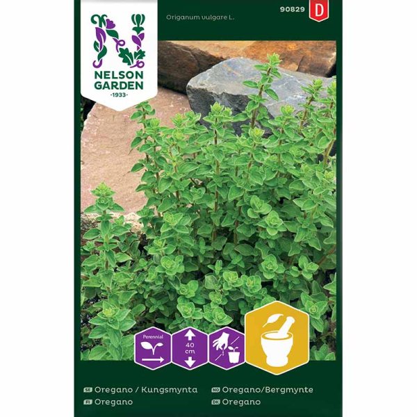 Kungsmynta / Oregano