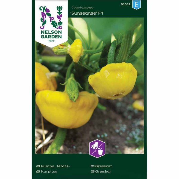 Tefatspumpa 'Sunseanse' F1