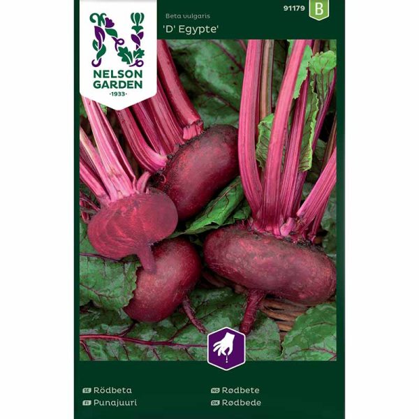 Rödbeta 'D' Egypte'