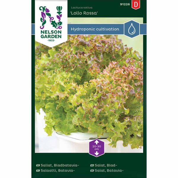 Bladbataviasallat 'Lollo Rossa' - Harvy