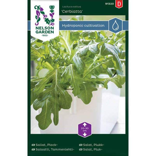 Plocksallat 'Cerbiatta' - Harvy