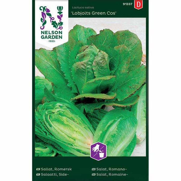 Romersk sallat 'Lobjoits Green Cos'