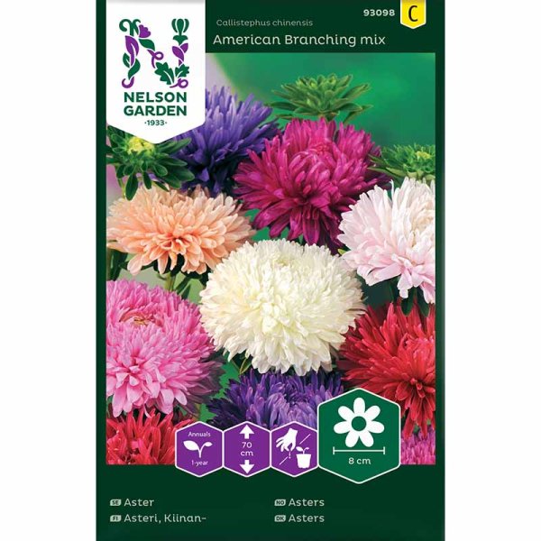 Sommaraster 'American Branching mix'