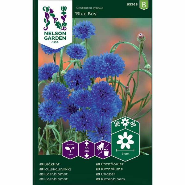 Blåklint 'Blue Boy'