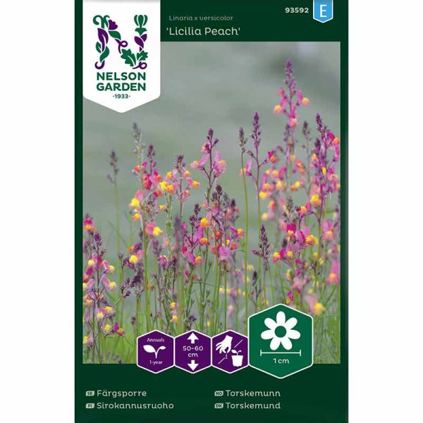 Färgsporre 'Licilia Peach'