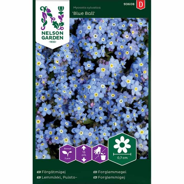 Skogsförgätmigej 'Blue Ball'