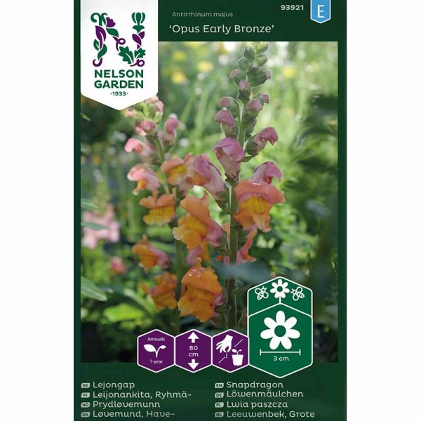 Lejongap 'Opus Early Bronze' F1