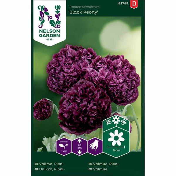 Pionvallmo 'Black Peony'