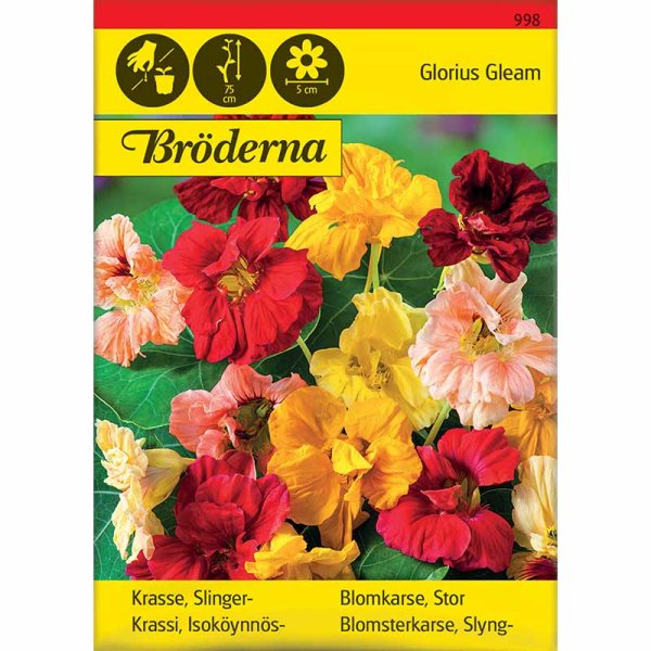 Slingerkrasse 'Glorius Gleam'