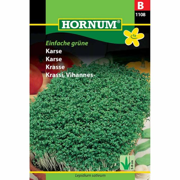 Krasse 'Einfache grüne'