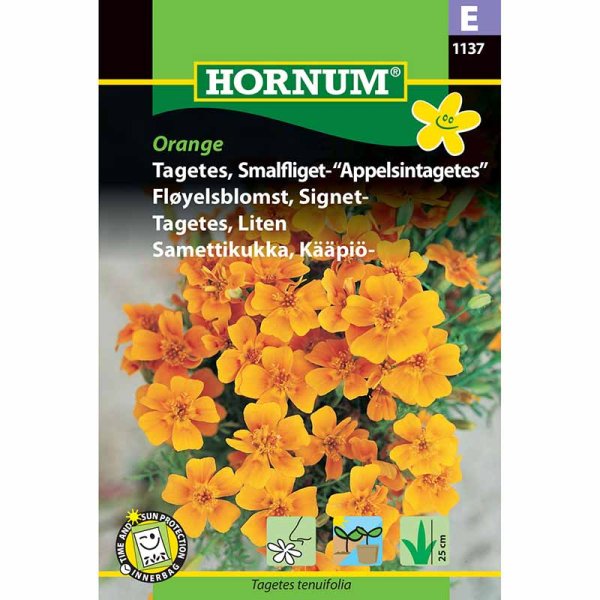 Liten Tagetes Orange
