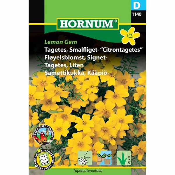 Liten Tagetes 'Lemon Gem'