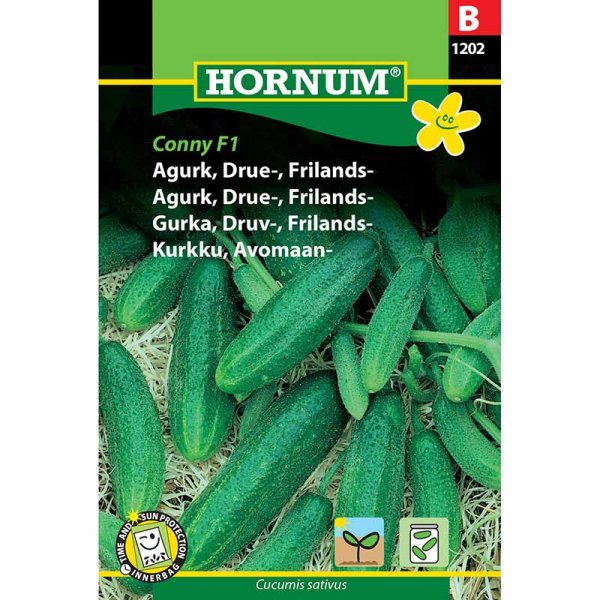 Frilandsgurka 'Libelle' F1