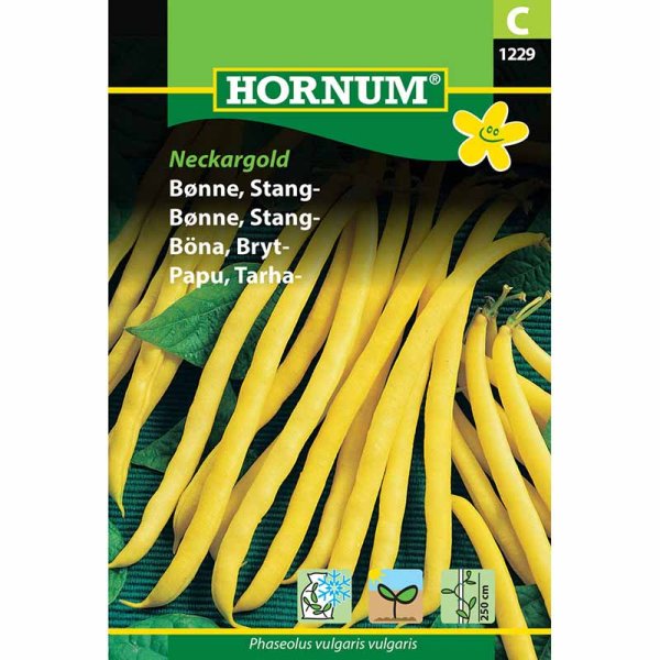 Brytböna 'Neckargold'