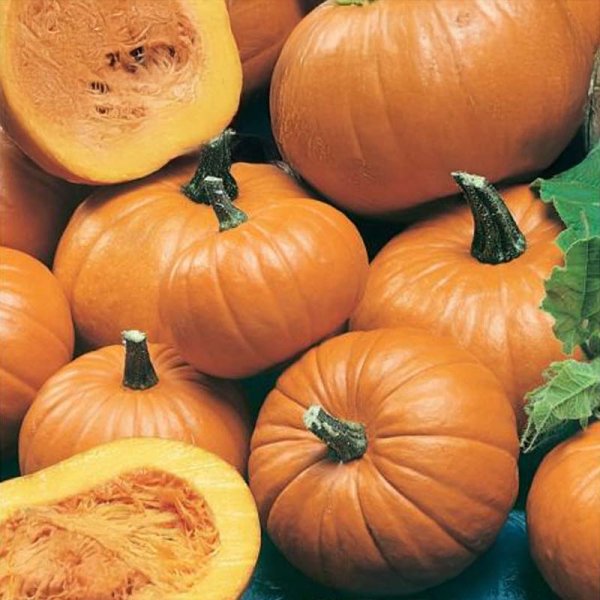 Mandelpumpa 'Baby Bear'