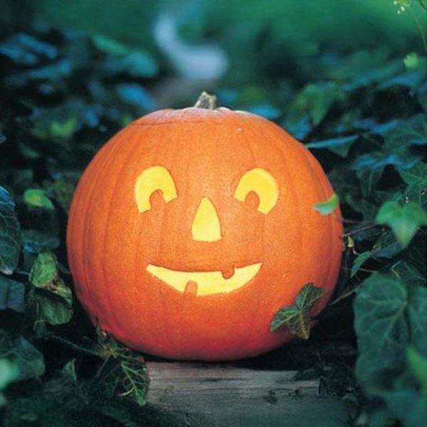 Mandelpumpa 'Tom Fox'