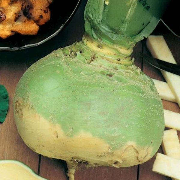 Kålrot 'Gelbe Wilhelmsburger'