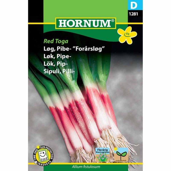 Piplök 'Red Toga'