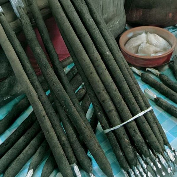 Svartrot 'Hoffmanns schwarzer Pfahl'