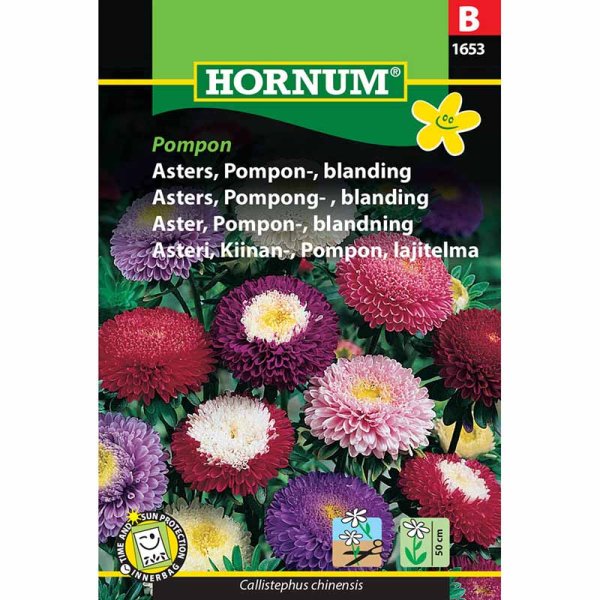 Aster 'Pompon mix'
