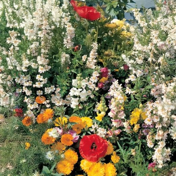 Blomsterblandning Romantik