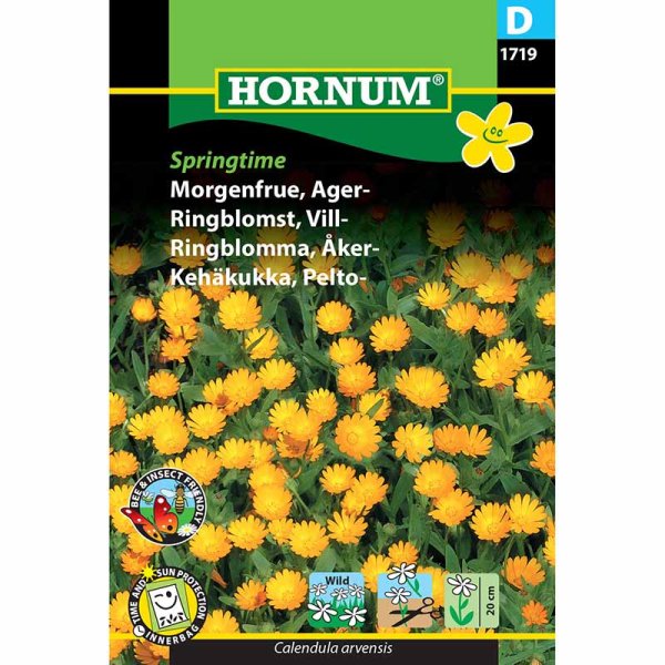 Ringblomma 'Springtime'