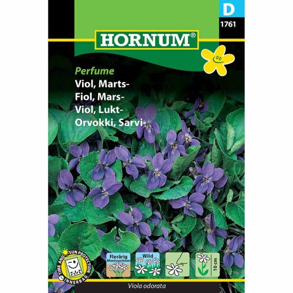 Luktviol 'Perfume'