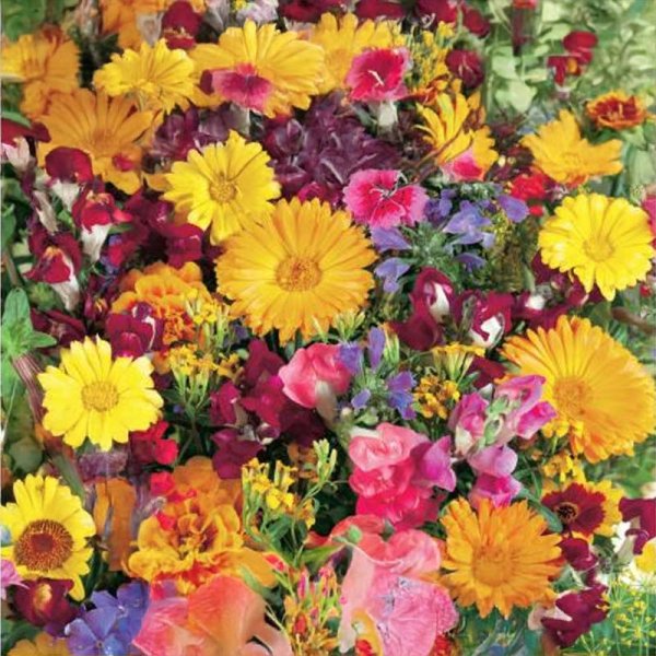 Doftande blomsterblandning