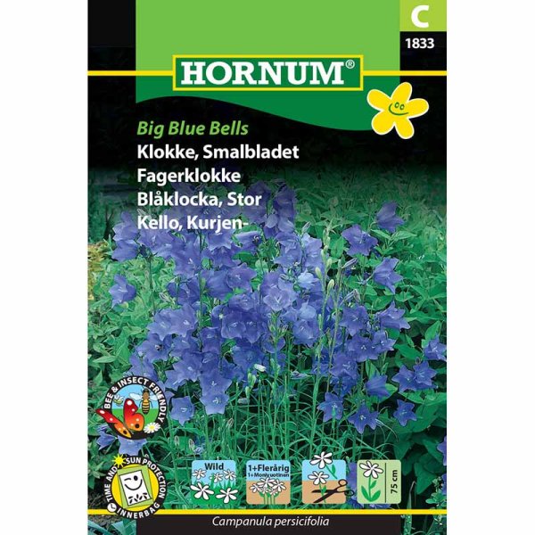 Stor blåklocka 'Big Blue Bells'