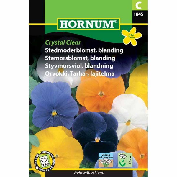 Styvmorsviol 'Crystal Clear'