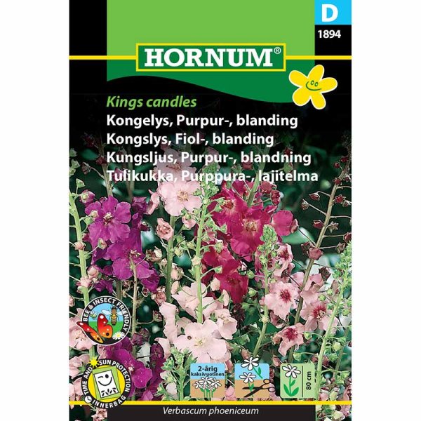 Purpurkungsljus 'Kings candles'