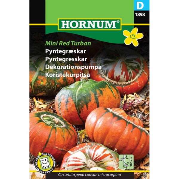 Dekorationspumpa 'Mini Red Turban'