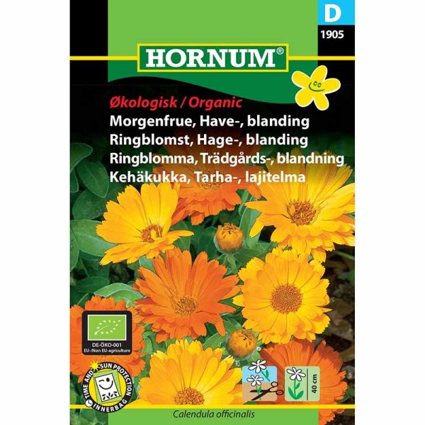 TrädgårdsRingblomma