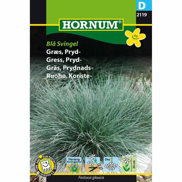 Prynadsgräs Blå svingel