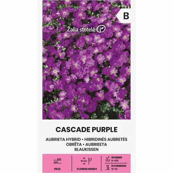 Aubrieta hybrid Cascade purple