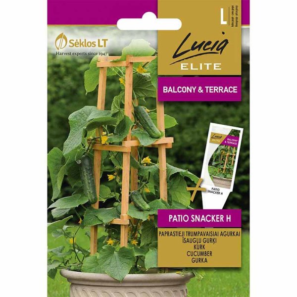 Gurka 'Patio snacker' H
