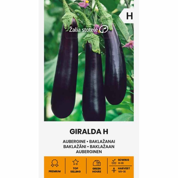 Aubergine 'Giralda' H
