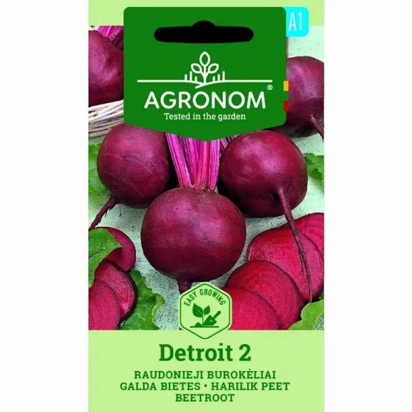 Rödbeta 'Detroit 2'