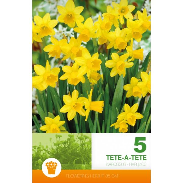 Påsklilja ’Tête-à-Tête’