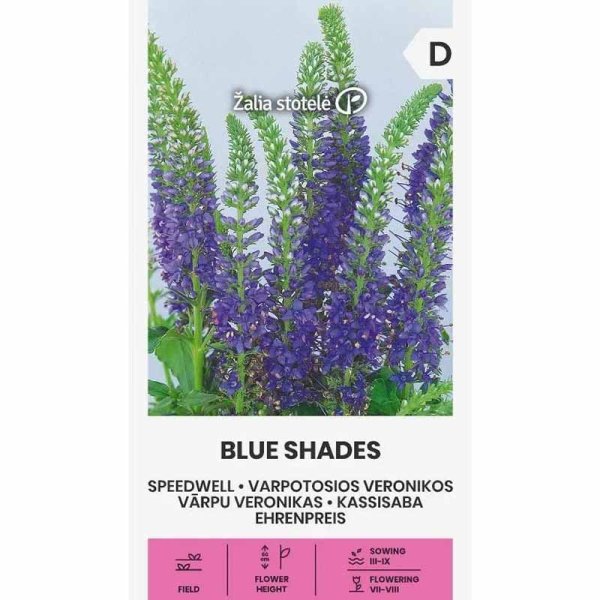 Praktveronica 'Blue shades'