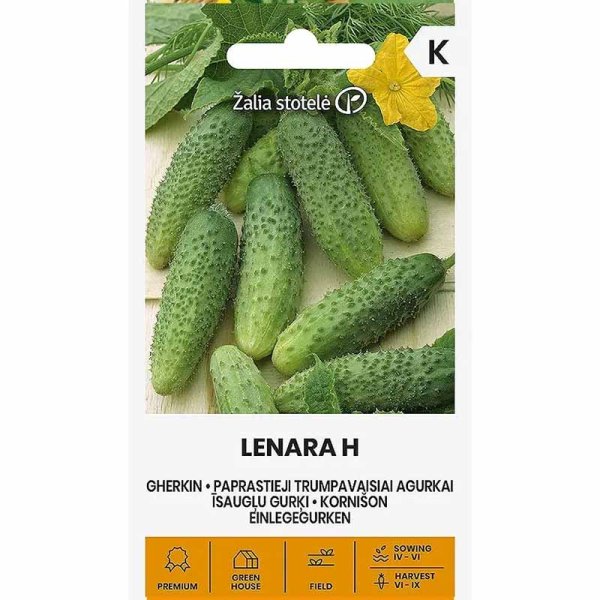 Frilandsgurka 'Lenara' h