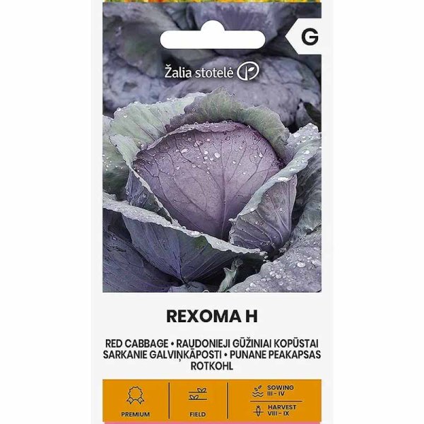 Rödkål 'Rexoma' h